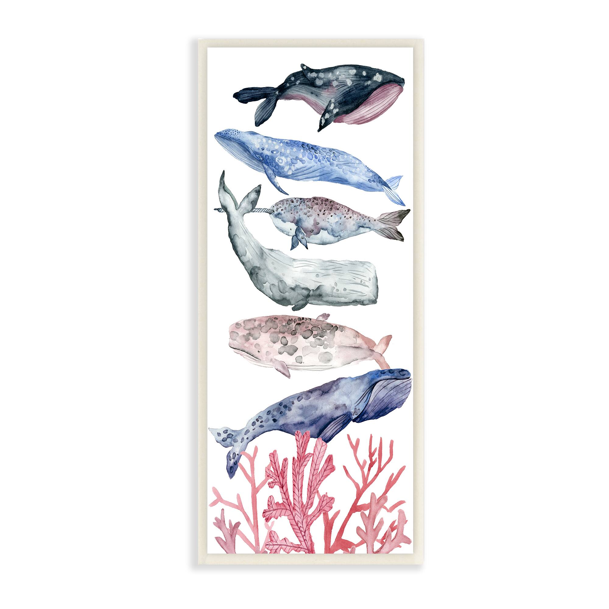 Stupell Industries Whale Wildlife Ocean Coral Watercolor Illustrations, 7" x 17"